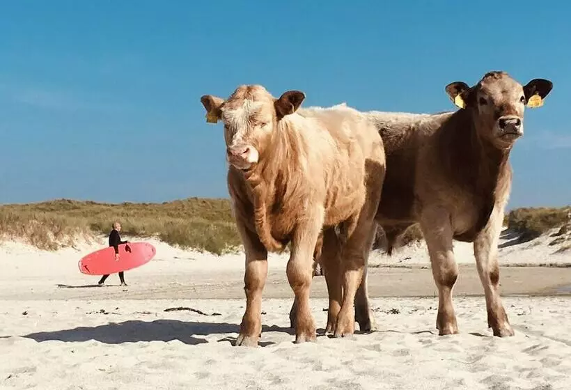 Hotelli Kirkapol Beach Pod   Flow