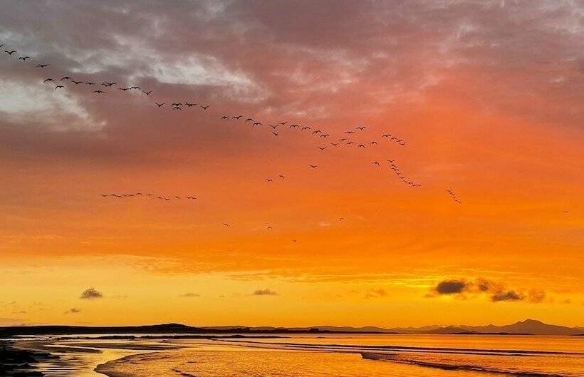 בית מלון כפרי Kirkapol Beach Pod   Flow
