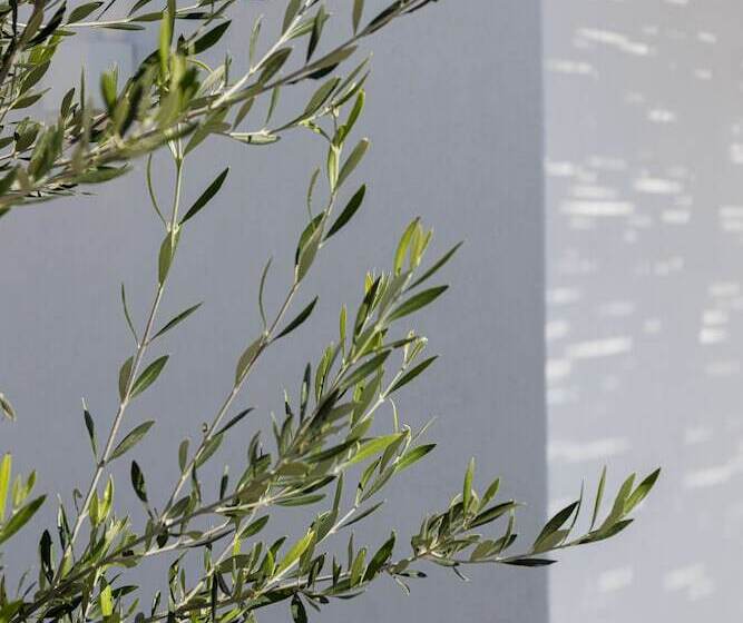 בית מלון כפרי Phos Milos