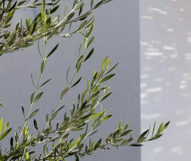 ホテル Phos Milos