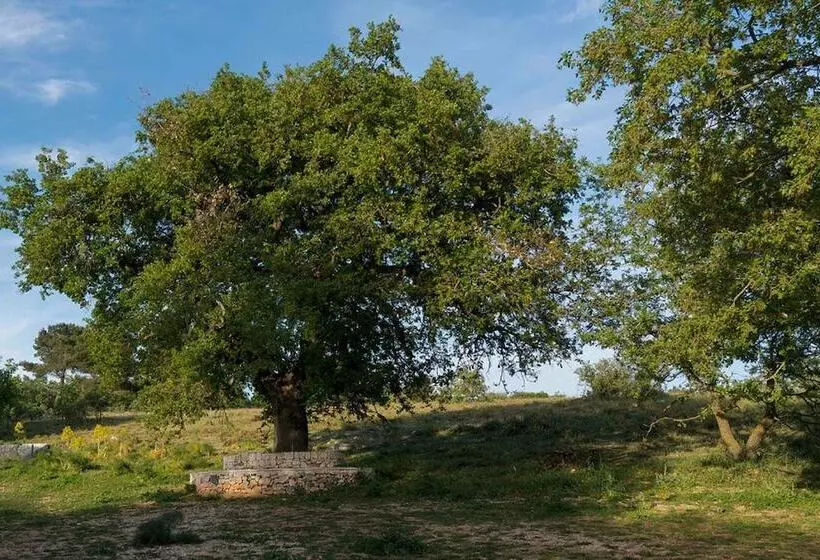 هتل روستایی Donnapaola Modern Farm