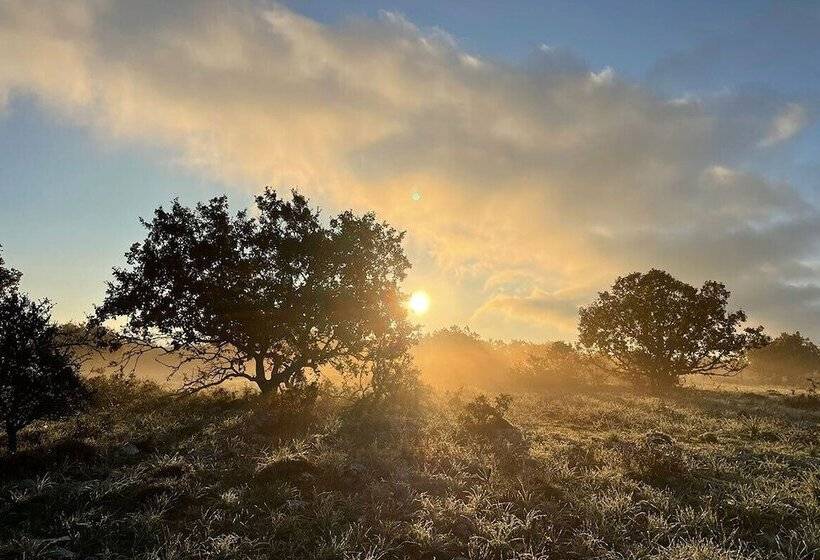 هتل روستایی Donnapaola Modern Farm