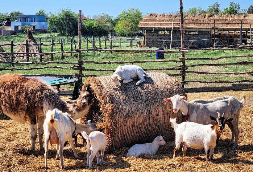 Пансион 5 Chirpici - Small Traditional Resort