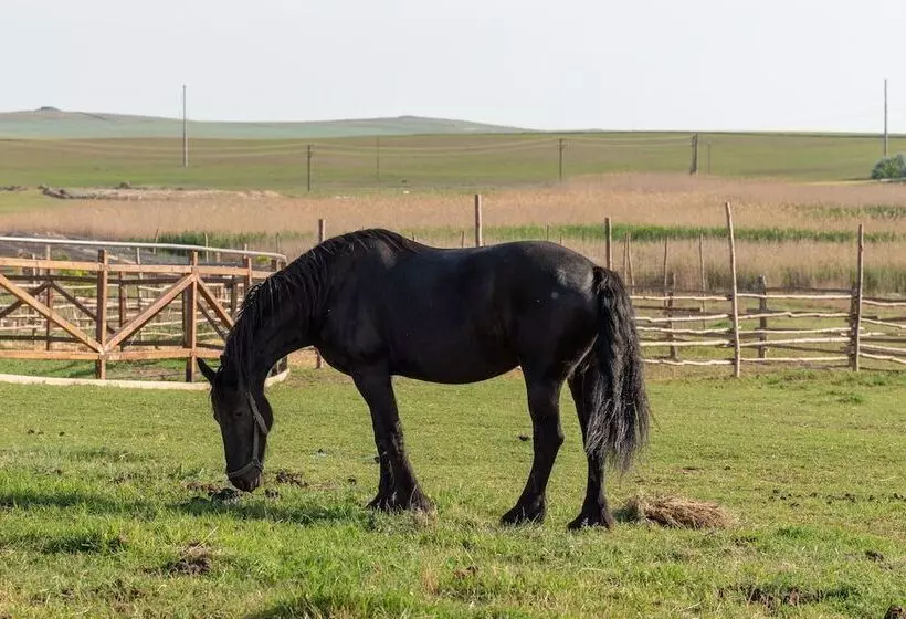 Majatalo 5 Chirpici - Small Traditional Resort