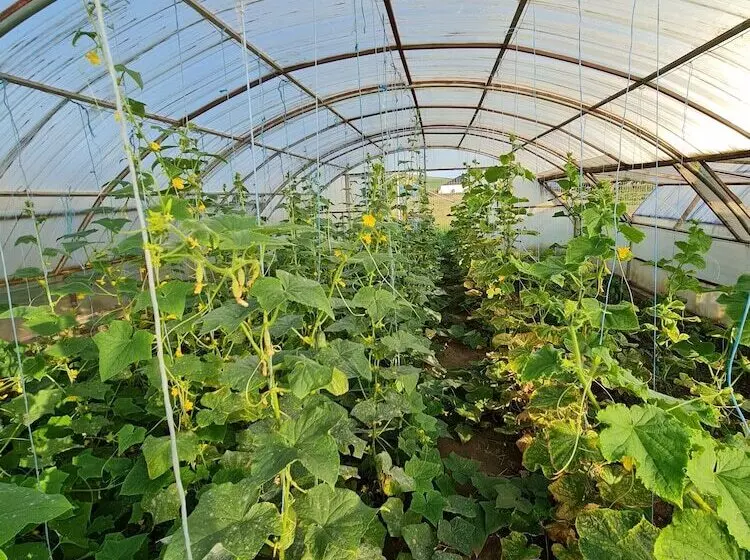 Majatalo 5 Chirpici - Small Traditional Resort