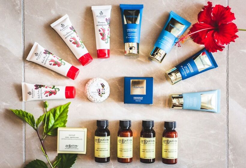 פנסיון St.maire Zamami