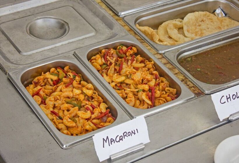 Pensionat Treebo Backpackers Inn