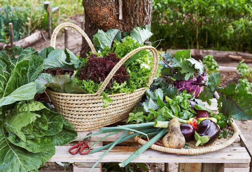 Resort Kisawa Sanctuary