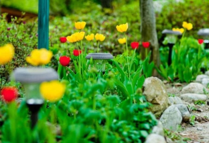 Yangyang Natural We Pension