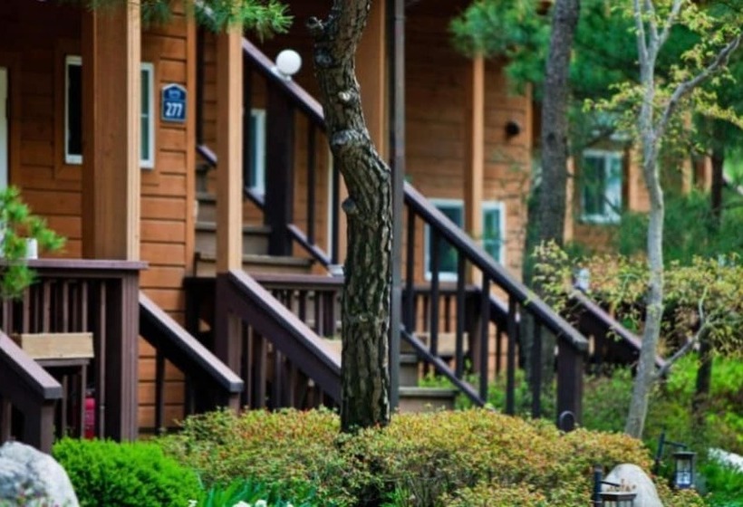 Yangyang Natural We Pension