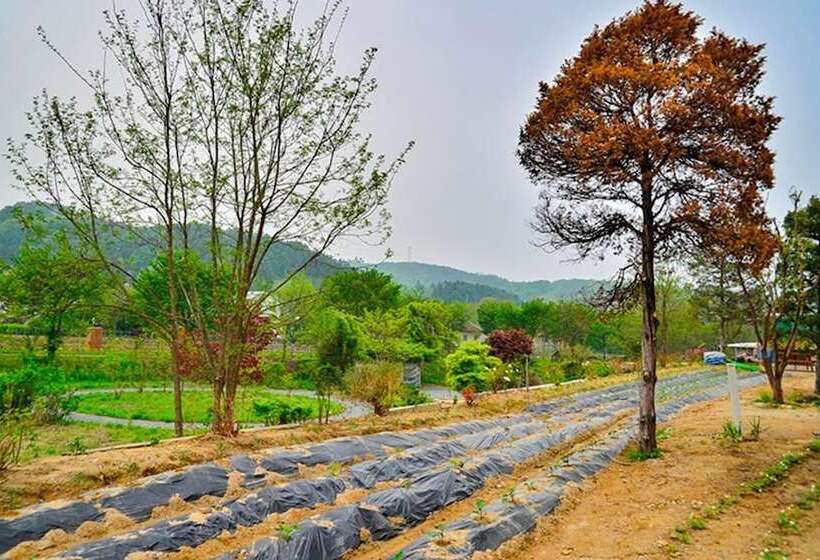 Yongin Unhak Pension