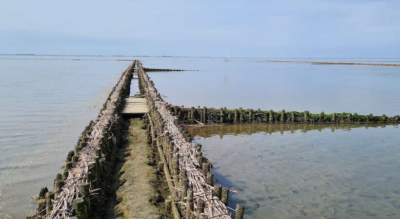 Wohnmobilstellplatz Nordseeliebe Direkt Am Deich Dagebüll