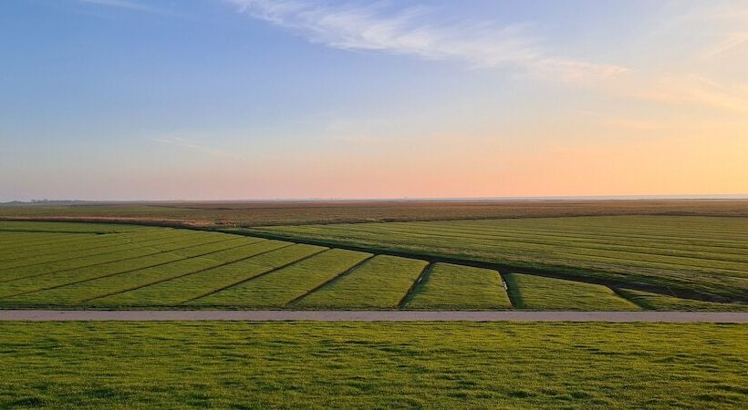 Wohnmobilstellplatz Nordseeliebe Direkt Am Deich Dagebüll