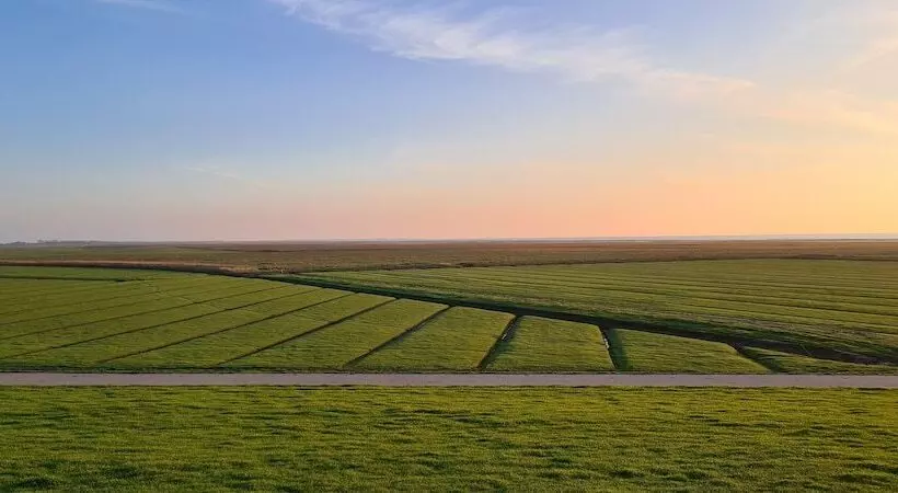 Wohnmobilstellplatz Nordseeliebe Direkt Am Deich   Dagebüll