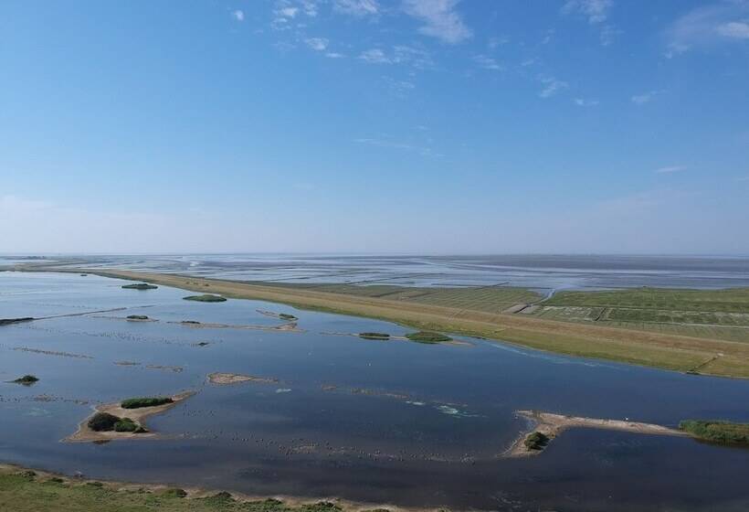 Wohnmobilstellplatz Nordseeliebe Direkt Am Deich Dagebüll