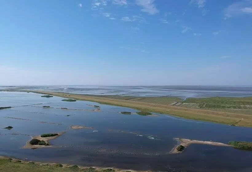 Wohnmobilstellplatz Nordseeliebe Direkt Am Deich   Dagebüll