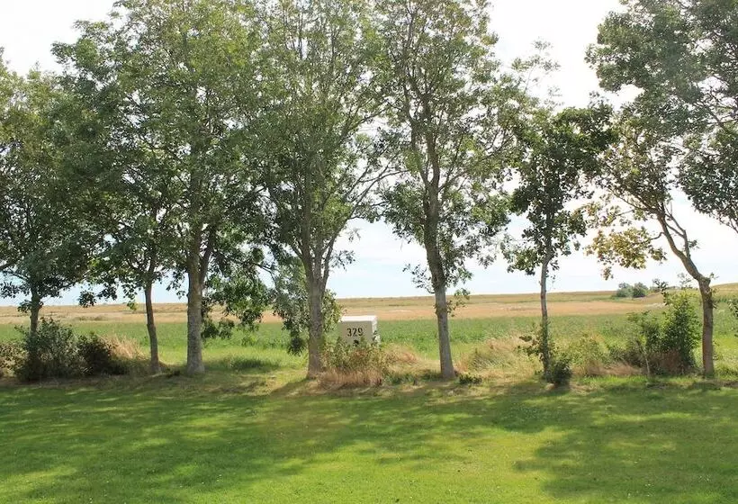 Wohnmobilstellplatz Nordseeliebe Direkt Am Deich   Dagebüll