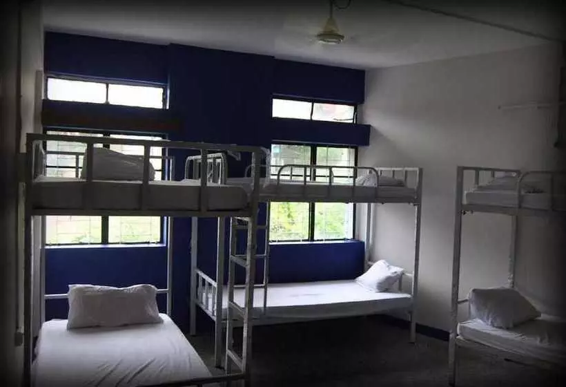Hotel Goroomgo Monkey Mind Hostel Goa