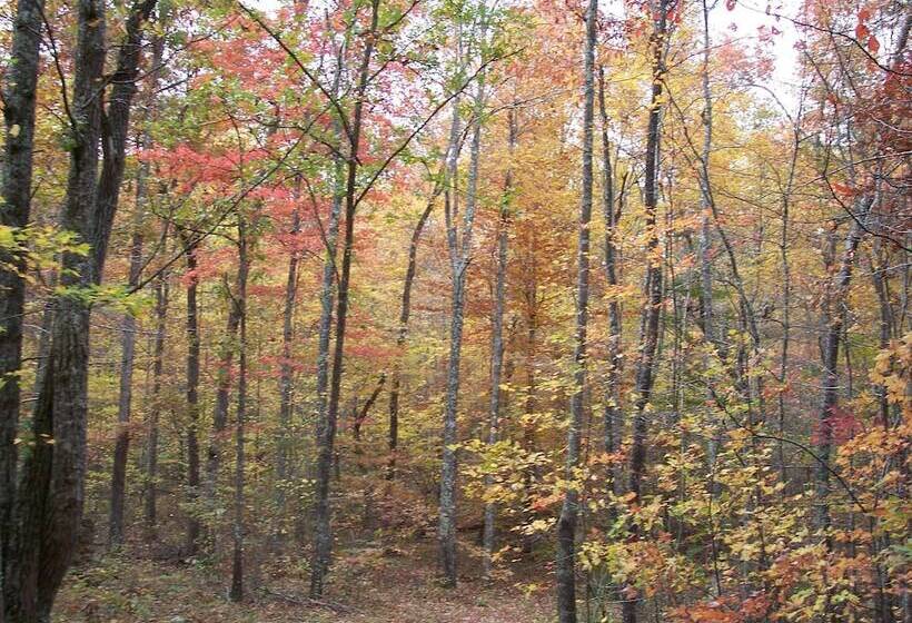 בית מלון כפרי Grandview Experience Lodge