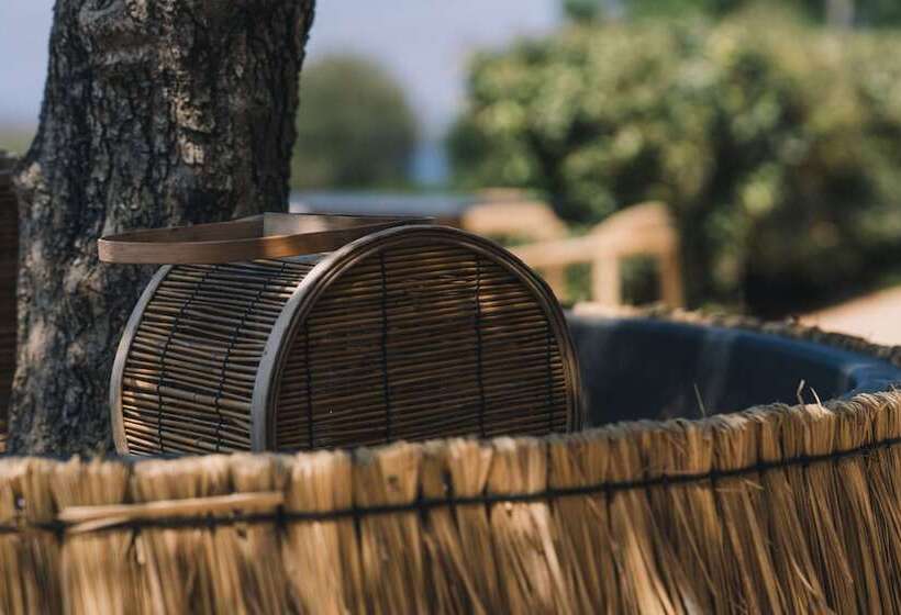 בית מלון כפרי The Nest Resort