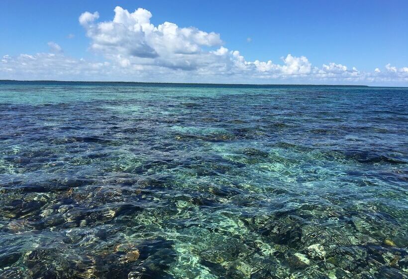 בית מלון כפרי Treetops