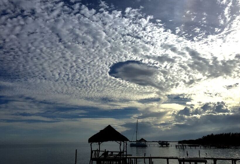 בית מלון כפרי Treetops