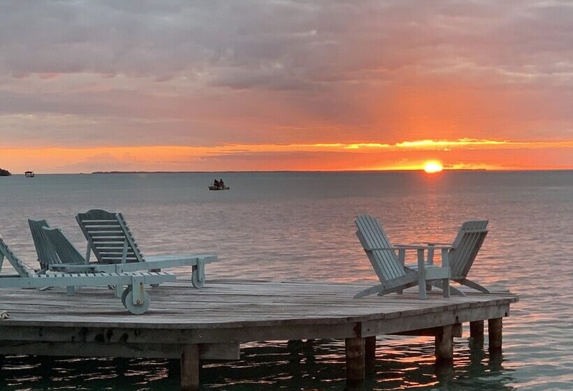 בית מלון כפרי Treetops