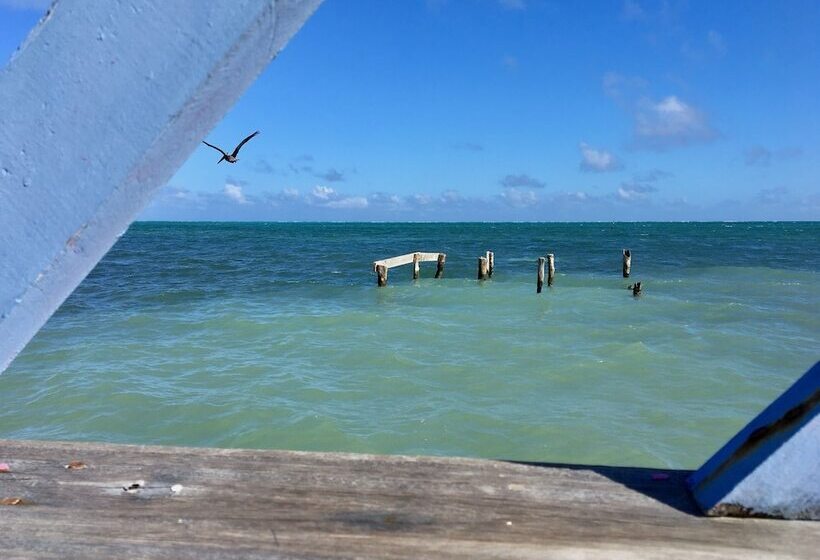 בית מלון כפרי Treetops