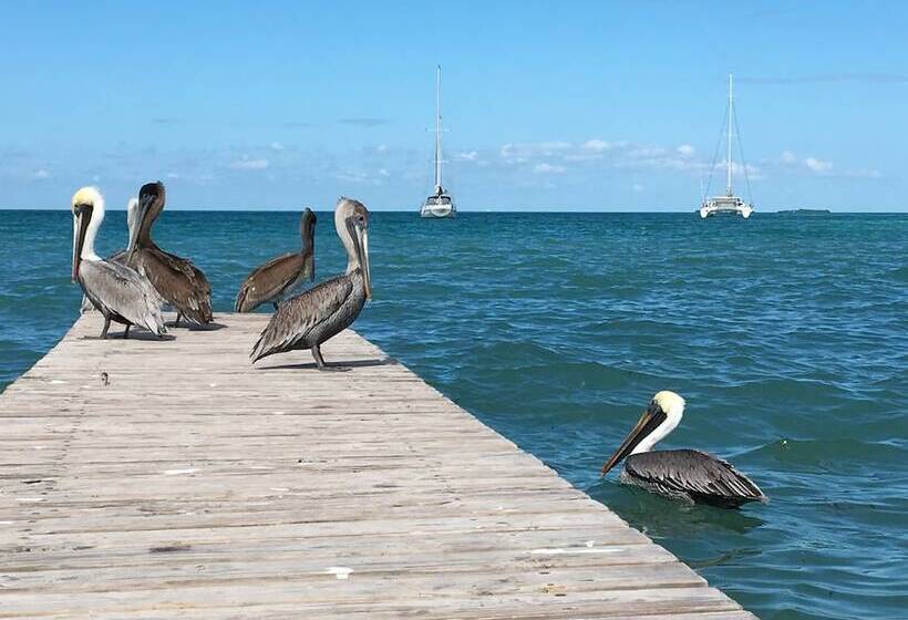 בית מלון כפרי Treetops