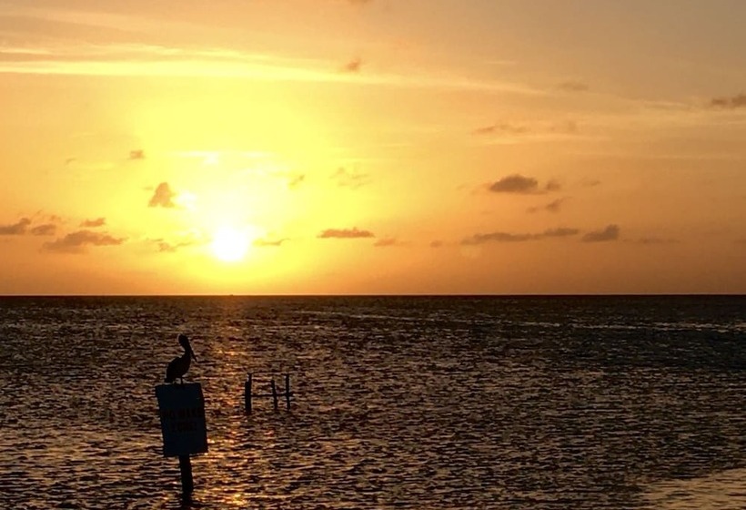 בית מלון כפרי Treetops