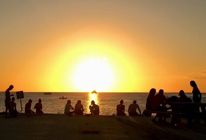 בית מלון כפרי Treetops