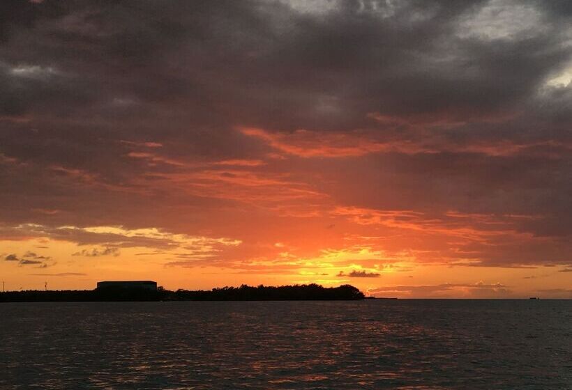 בית מלון כפרי Treetops