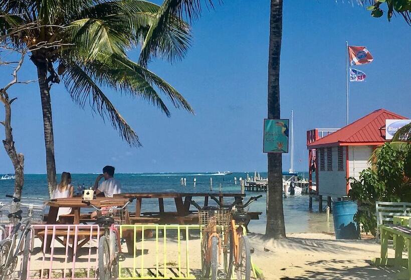 בית מלון כפרי Treetops