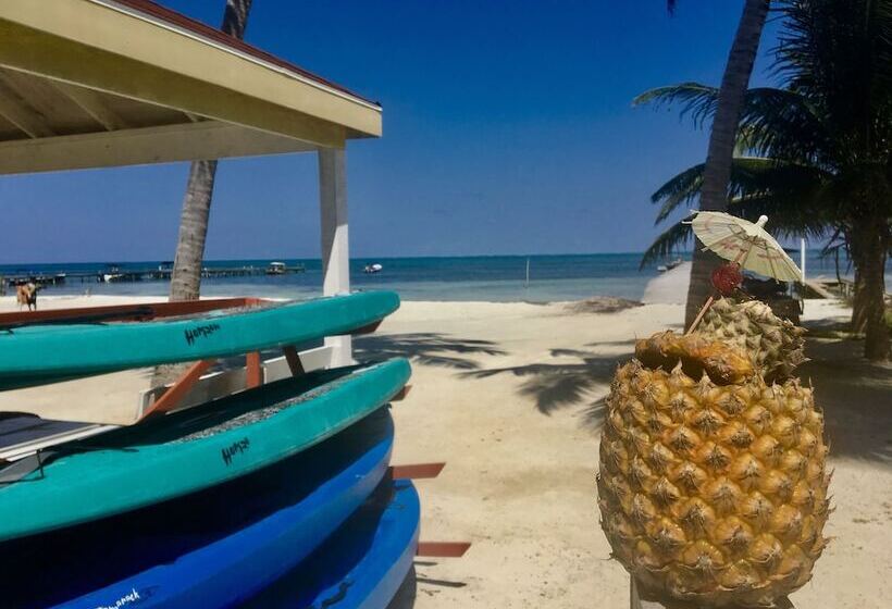 בית מלון כפרי Treetops