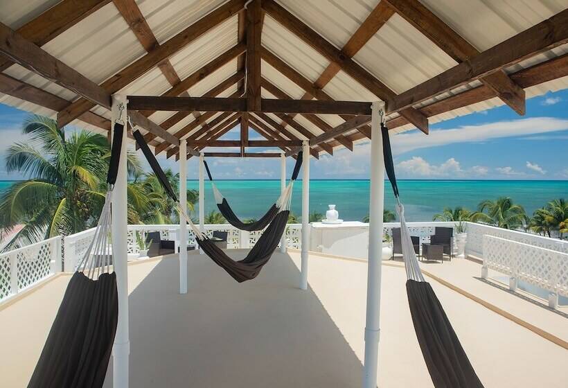 בית מלון כפרי Treetops