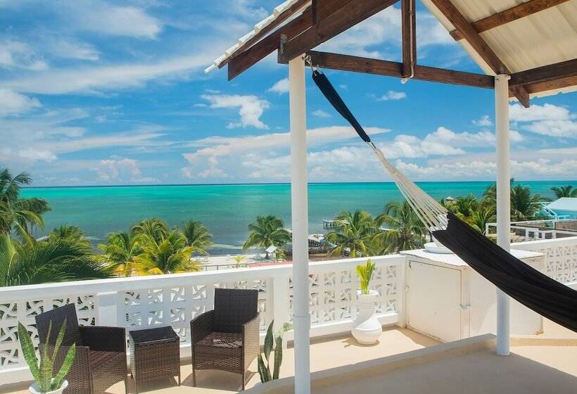 בית מלון כפרי Treetops