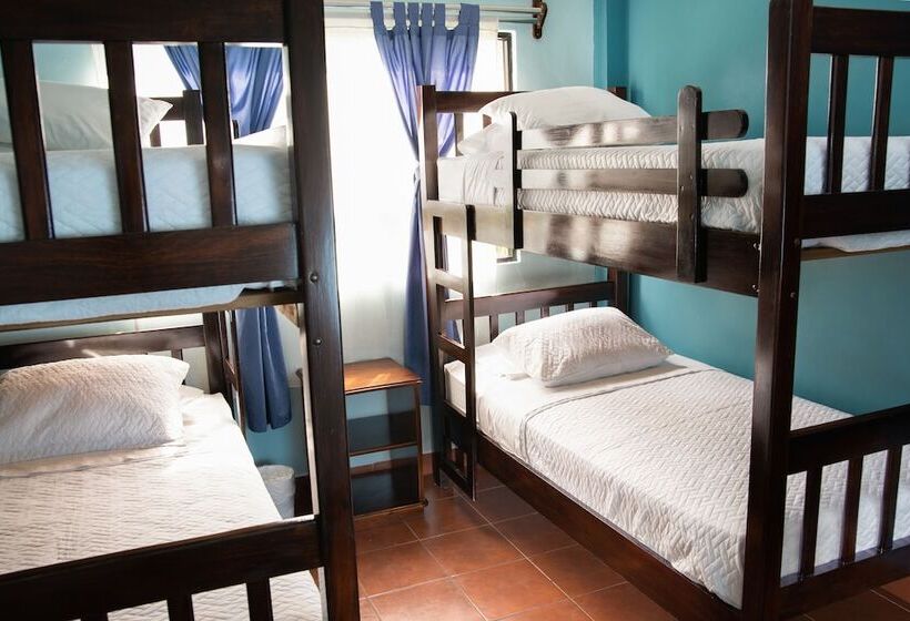 هتل Y Bungalows El Jardín