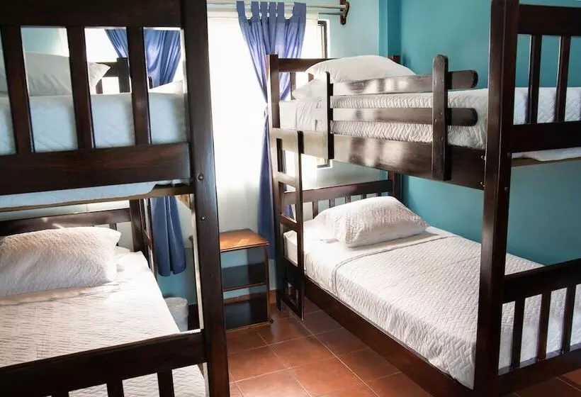 هتل Y Bungalows El Jardín