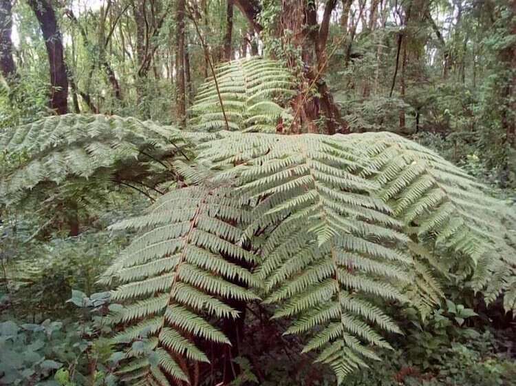 Kilnopark Hotel Machame