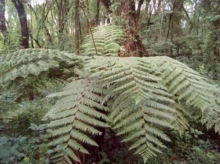 Kilnopark Hotel Machame