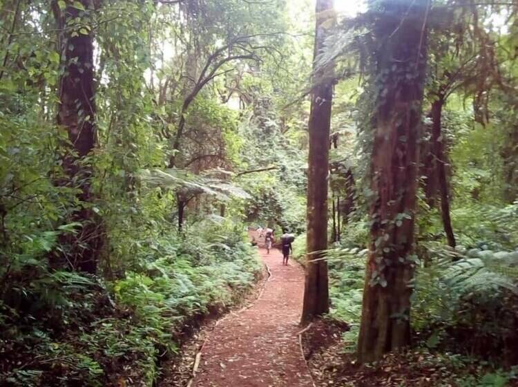 Kilnopark Hotel Machame