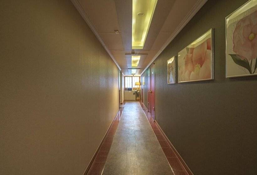 Мотель Haman Jm