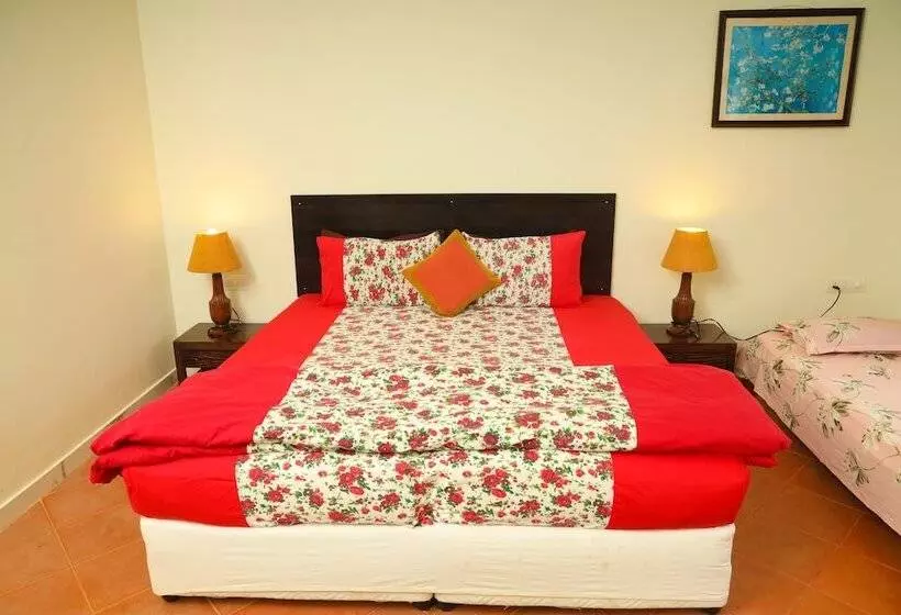 ペンション Copperhill Luxury Homestay