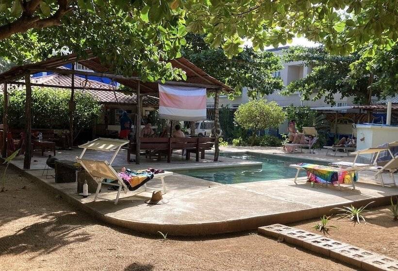 Tamahostel & Glamping