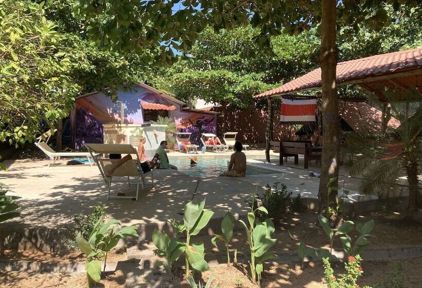 Tamahostel & Glamping