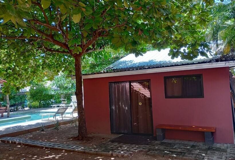 Tamahostel & Glamping