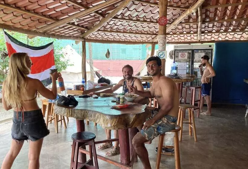 Tamahostel & Glamping