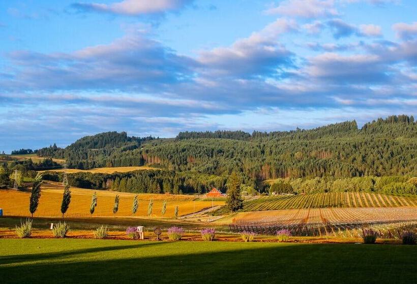مبيت وإفطار Abbey Road Farm