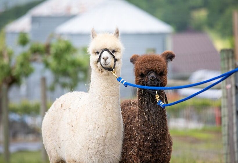 Bed and Breakfast Abbey Road Farm