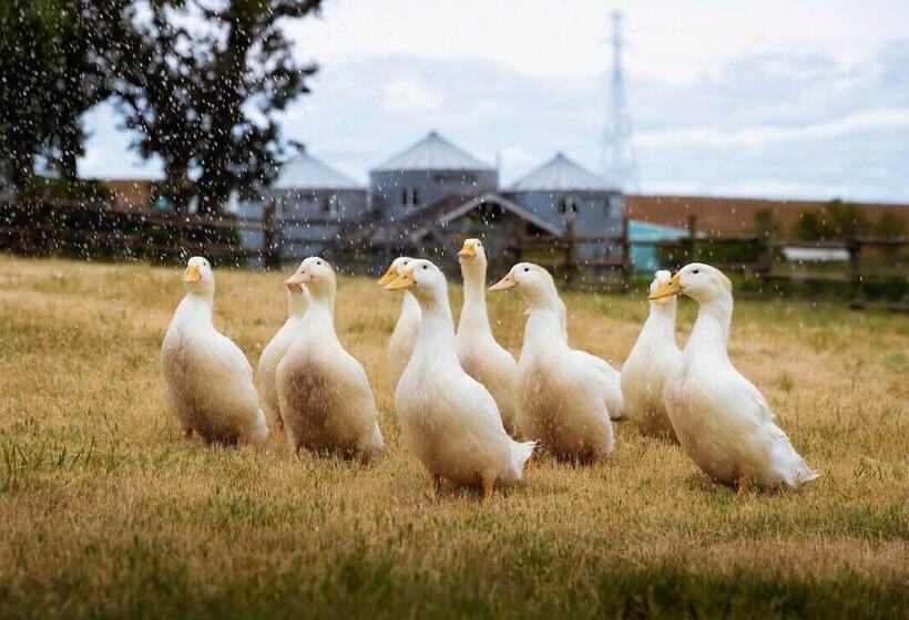 Bed and Breakfast Abbey Road Farm